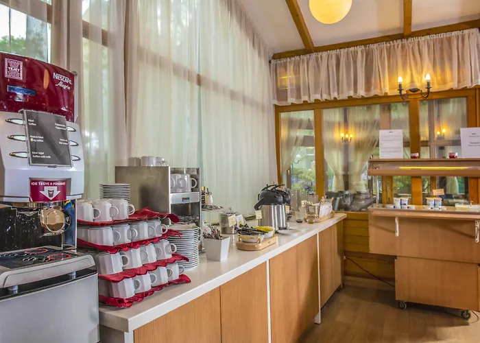 Corvin Sissi Wing 3* Будапешт