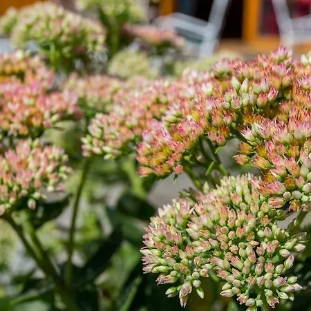 Corvin Sissi Wing Budapeszt