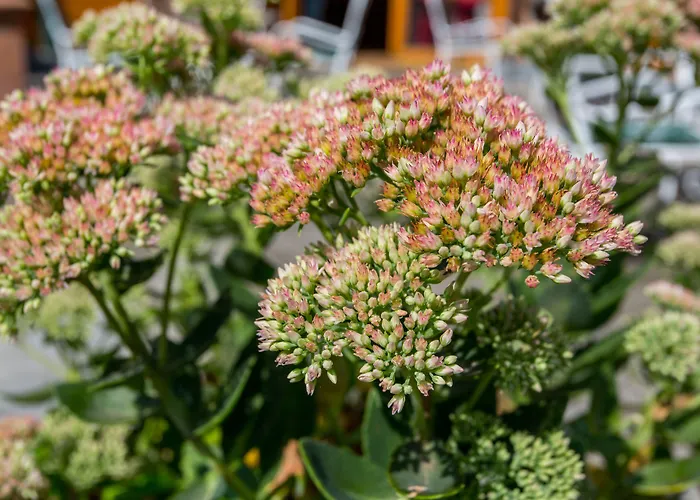 Отель Corvin Sissi Wing