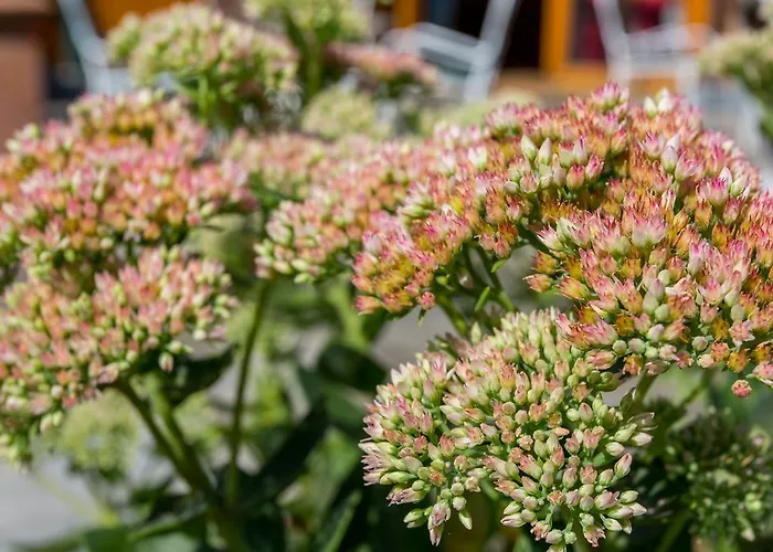 Corvin Sissi Wing Budapest